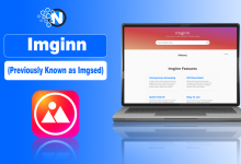 Imginn (Previously Known as Imgsed)