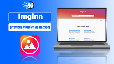Imginn (Previously Known as Imgsed)