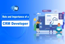 Role and Importance of a CRM Developer