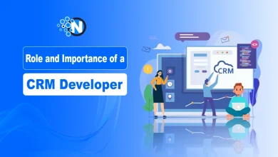 Role and Importance of a CRM Developer