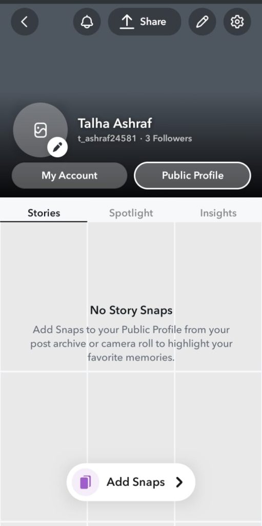 Screenshot of snapchat public profile by NogenTech