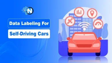How Data Labeling Fuels the Brains of Self-Driving Cars