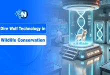 Dire Wolf Technology in Wildlife Conservation