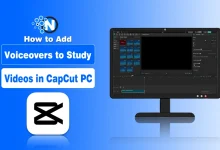 How to Add Voiceovers to Study Videos in CapCut PC