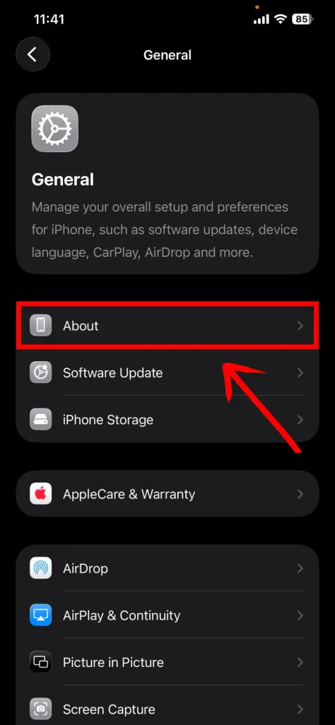 Screenshot of about section in iphone general by NogenTech