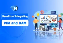 PIM and DAM