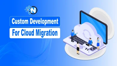 Custom Development for Cloud Migration