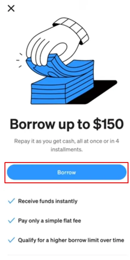 Borrow option