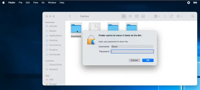 Confirm the deletion by entering the password