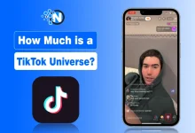 How Much is a TikTok Universe?
