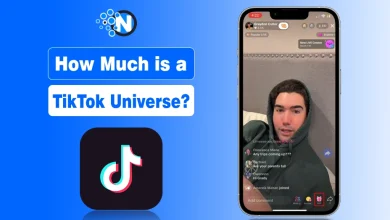 How Much is a TikTok Universe?
