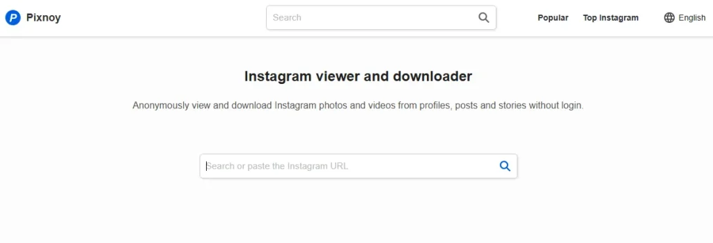 A Screenshot of Pixnoy Display That Shows Its Working | Source Pixnoy.com