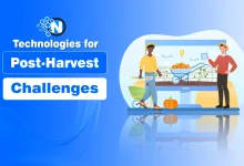 Technologies for Post-Harvest Challenges