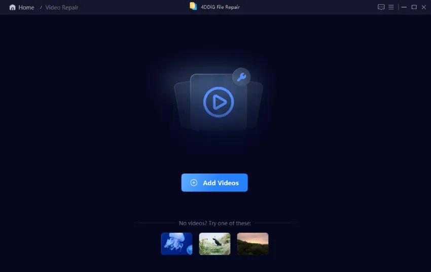 Add corrupted video 