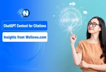 ChatGPT Choose Your Content for Citations – Insights from Wellows.com
