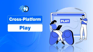 Cross-Platform Play