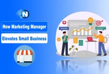 How Marketing Manager Elevates Small Business