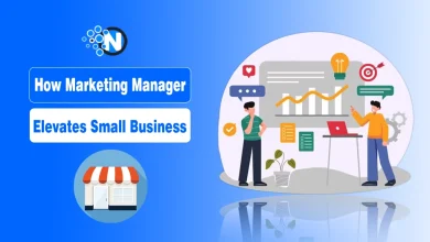 How Marketing Manager Elevates Small Business