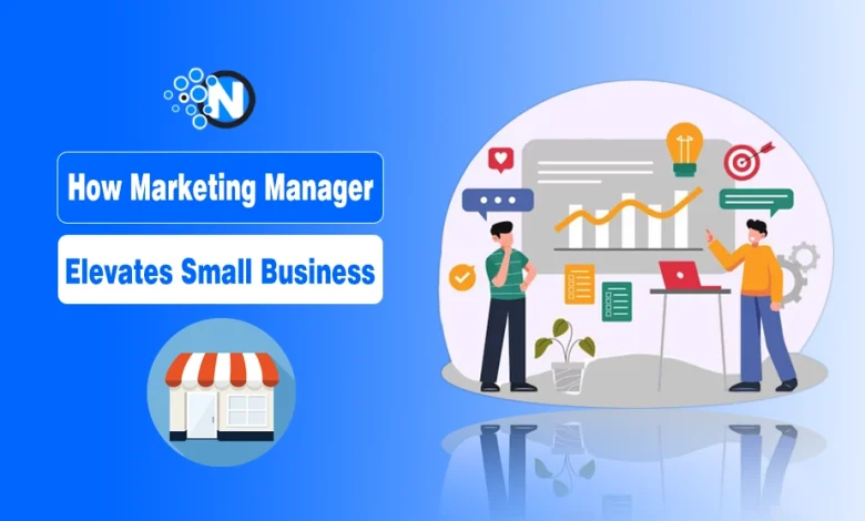 How Marketing Manager Elevates Small Business