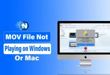 MOV File Not Playing on Windows or Mac