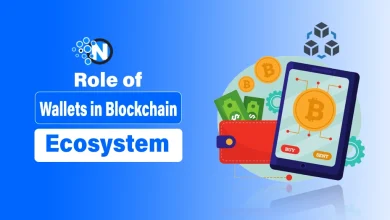 Role of Wallets in Blockchain Ecosystem