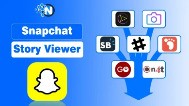 Snapchat Story Viewer