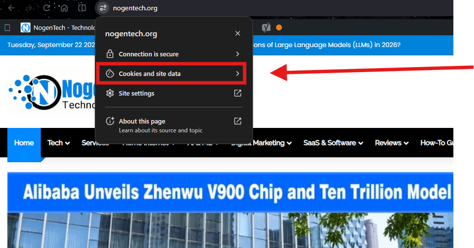 Screenshot to Clear Cookies for One Site in Chrome: Image Credit NogenTech