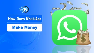 A blue and white digital graphic featuring the WhatsApp logo, a bag of money, and the text "How Does WhatsApp Make Money