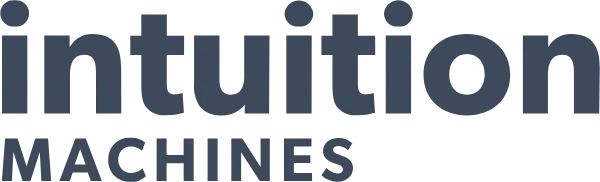 Intuition Machines