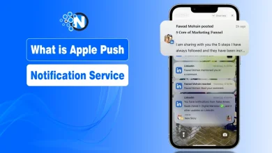 What is Apple Push Notification Service