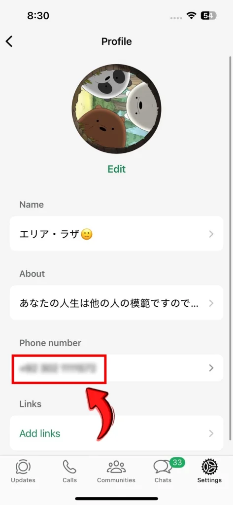Your WhatsApp number will be displayed there