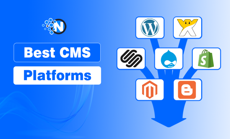 Best CMS Platforms