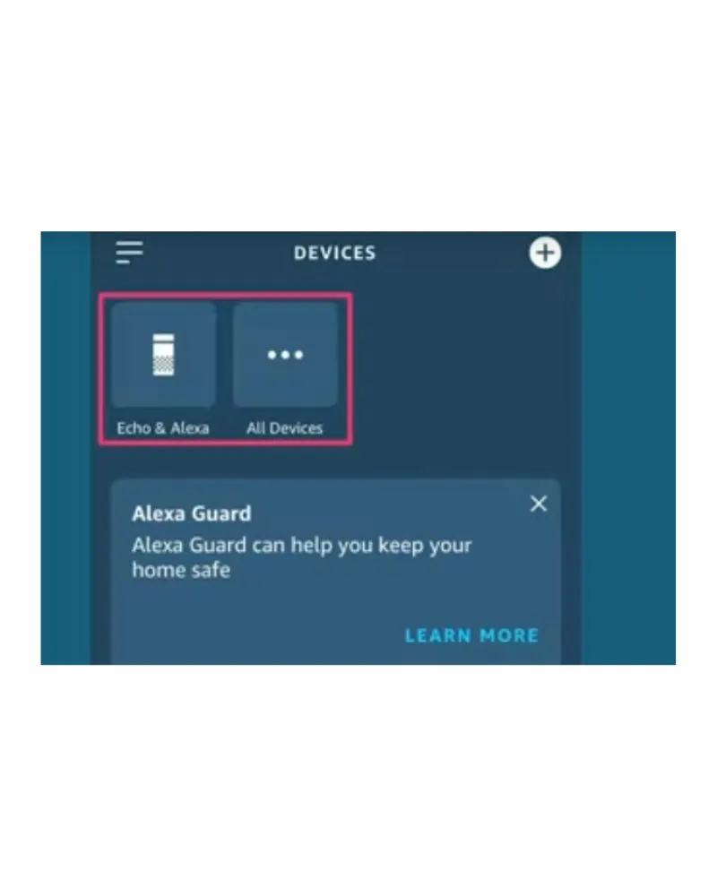 Select your device type - "Echo & Alexa" or "All Devices"