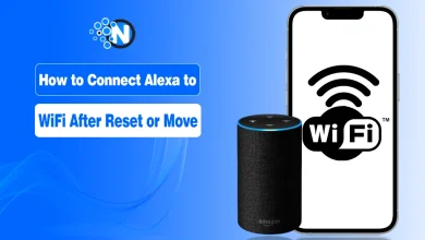 How to Connect Alexa to WiFi