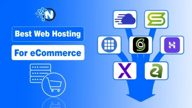 Best Web hosting for eCommerce