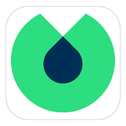 Blinkist Logo