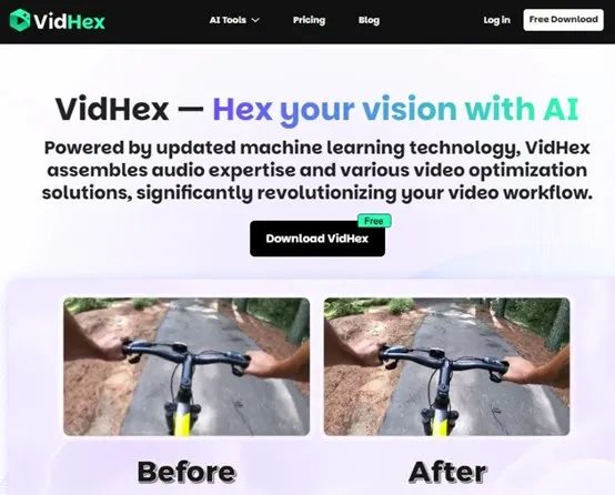 VidHex homepage with Download VidHex Button