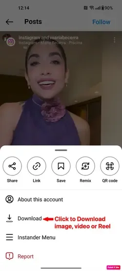 Downloads of Instander 18