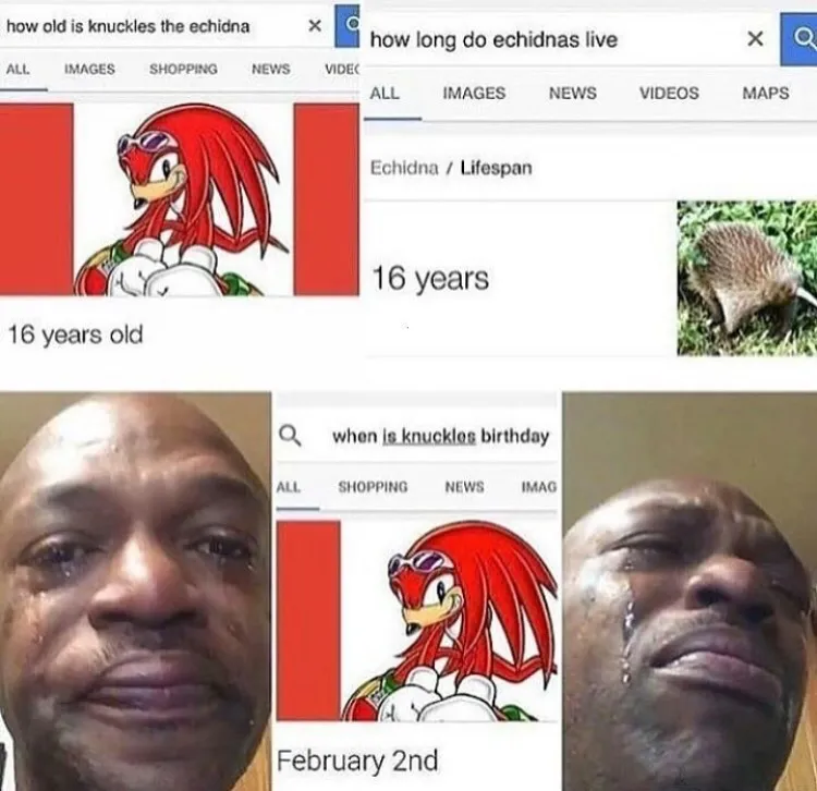 How Old is Knuckles the Echidna meme | Image Source DailyDot