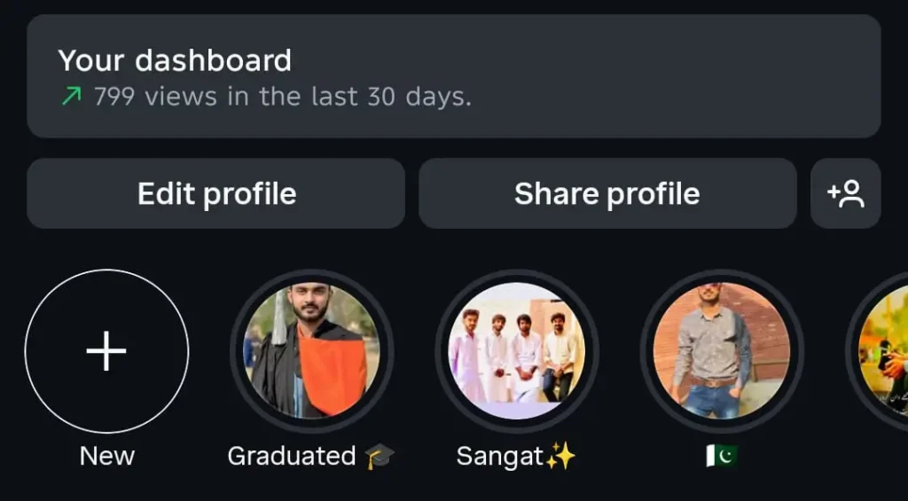 Instagram Highlights View