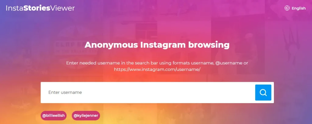 Screenshot of InstaStoryViewer Display | Source Insta-Stories-Viewer.com