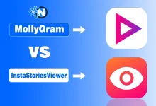 MollyGram vs InstaStoriesViewer