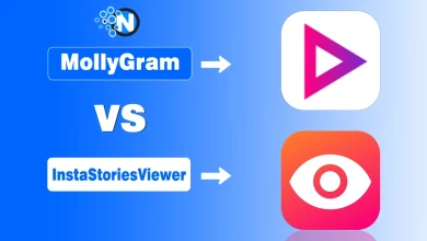 MollyGram vs InstaStoriesViewer