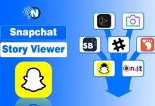 Interface of a Snapchat story viewer tool showing how to view and download public stories anonymously on a mobile device.