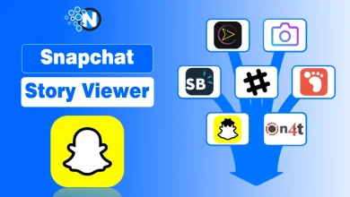 Interface of a Snapchat story viewer tool showing how to view and download public stories anonymously on a mobile device.
