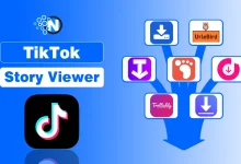 TikTok Story Viewer