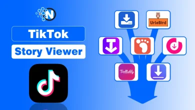 TikTok Story Viewer