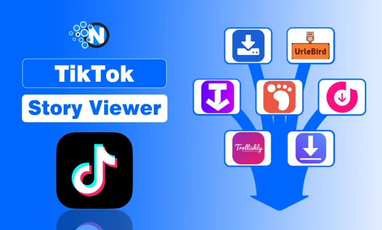TikTok Story Viewer