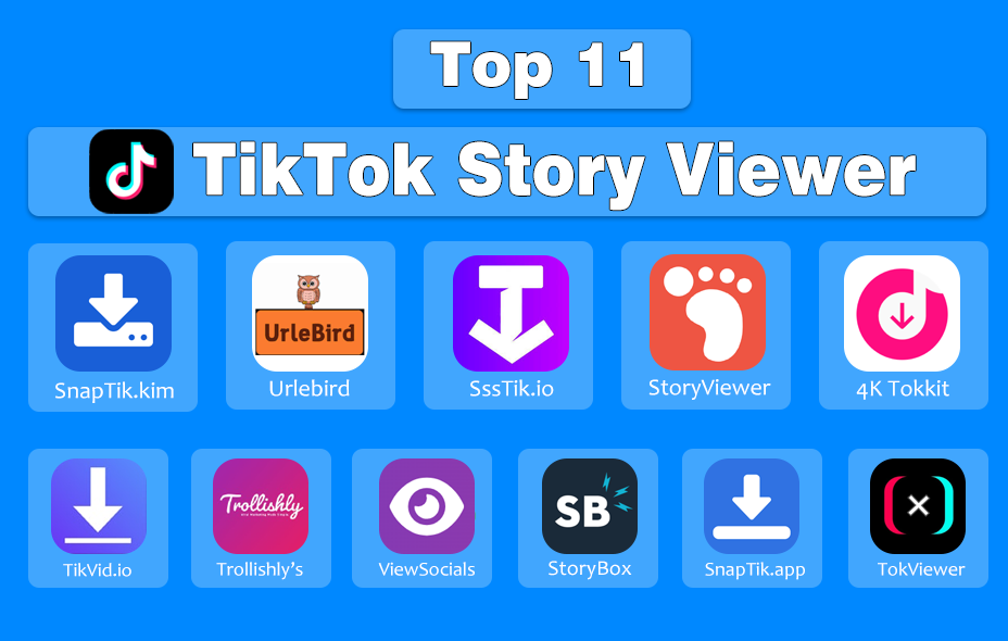 TikTok Story Viewer Platforms