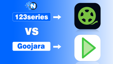 123series vs Goojara